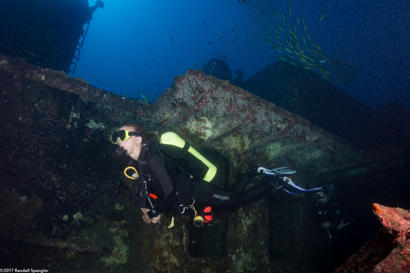 Diver on the Sea Tiger in Oahu