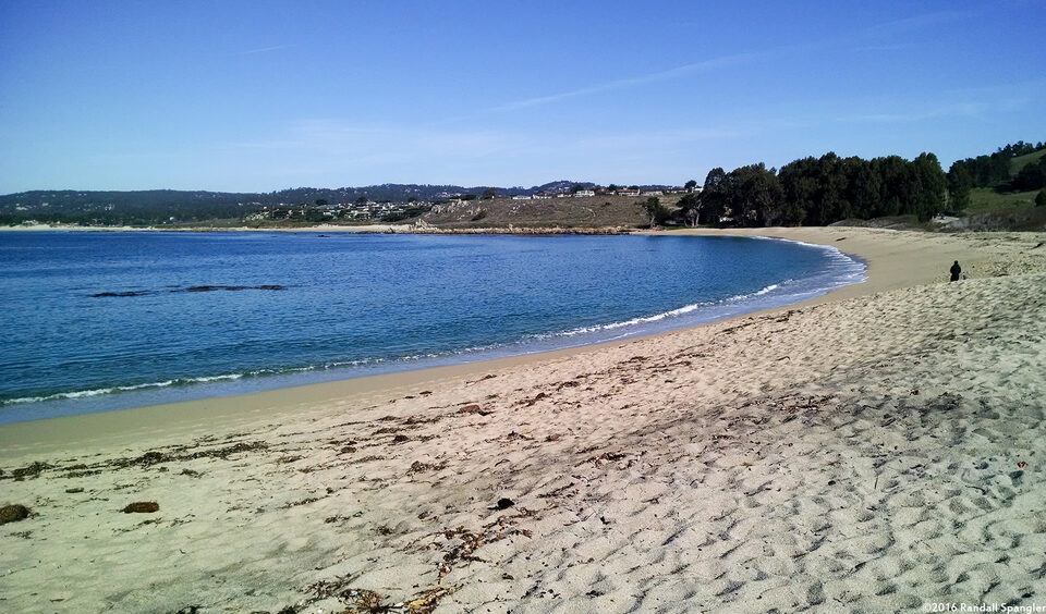 Monastery Beach on a good day