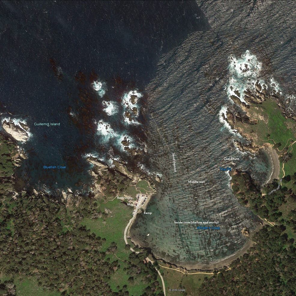 Annotated map of Point Lobos