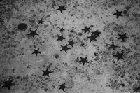 Pentaceraster cumingi (Knobby Star)